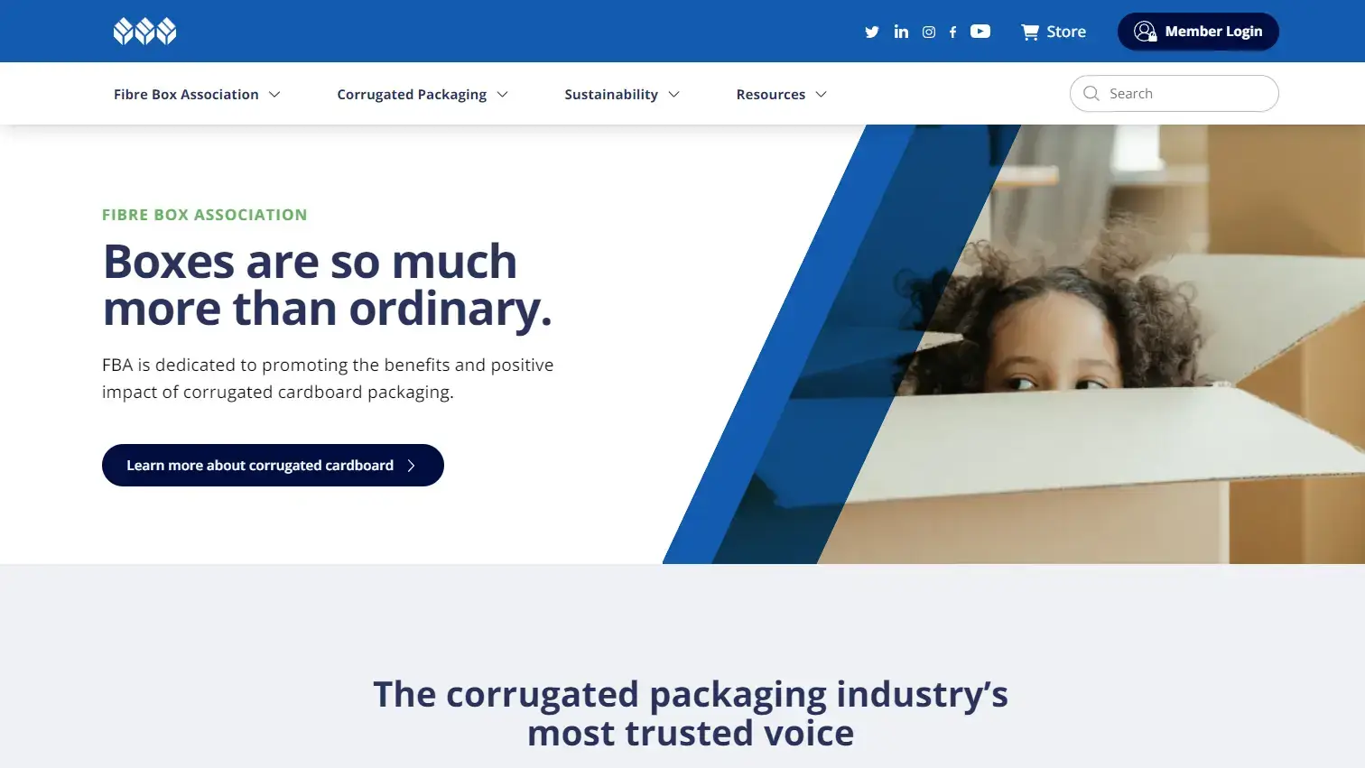 Fibrebox project screenshot