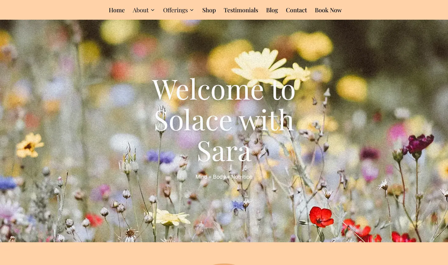 Solace with Sara project screenshot