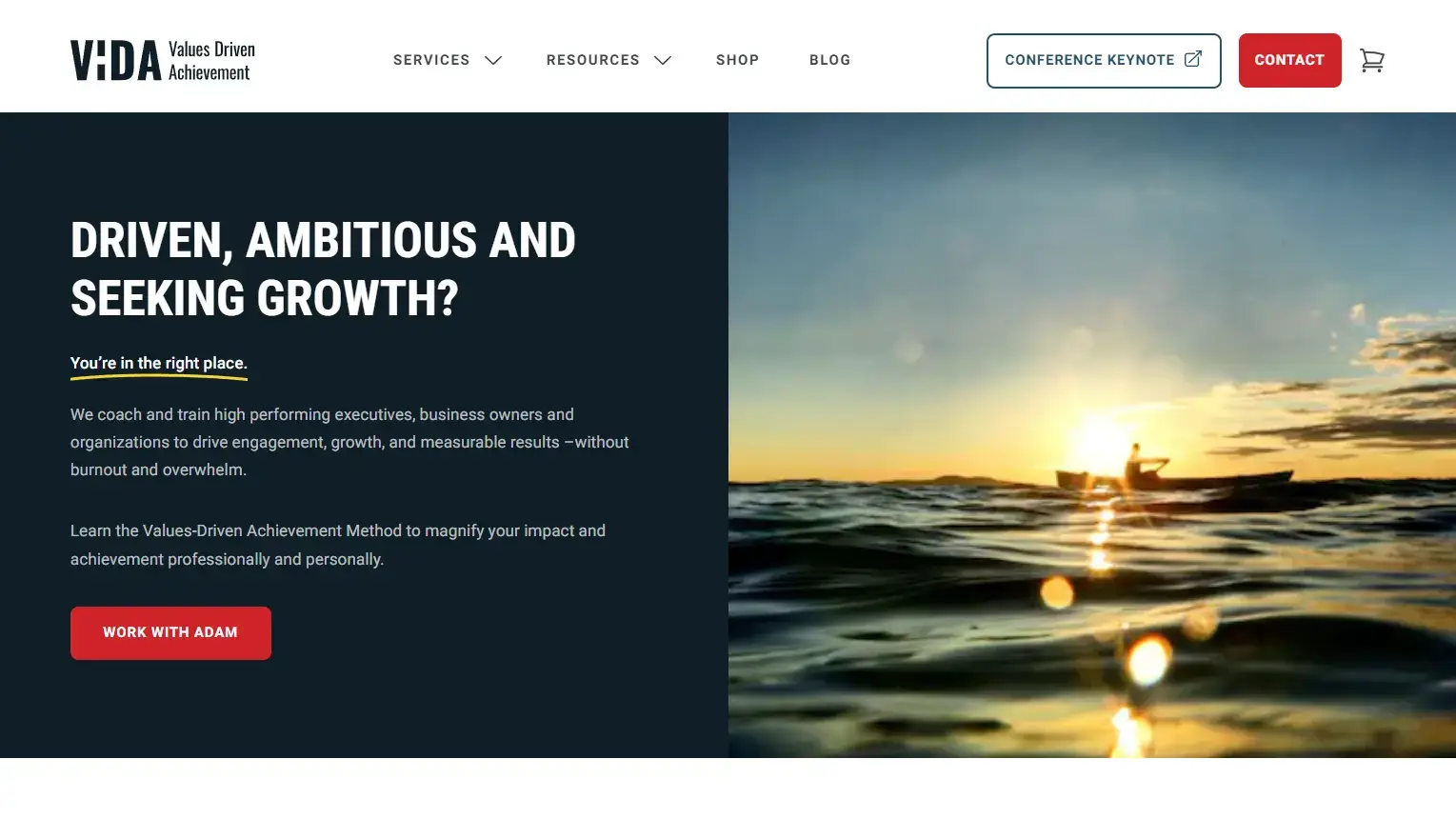 ViDA project screenshot