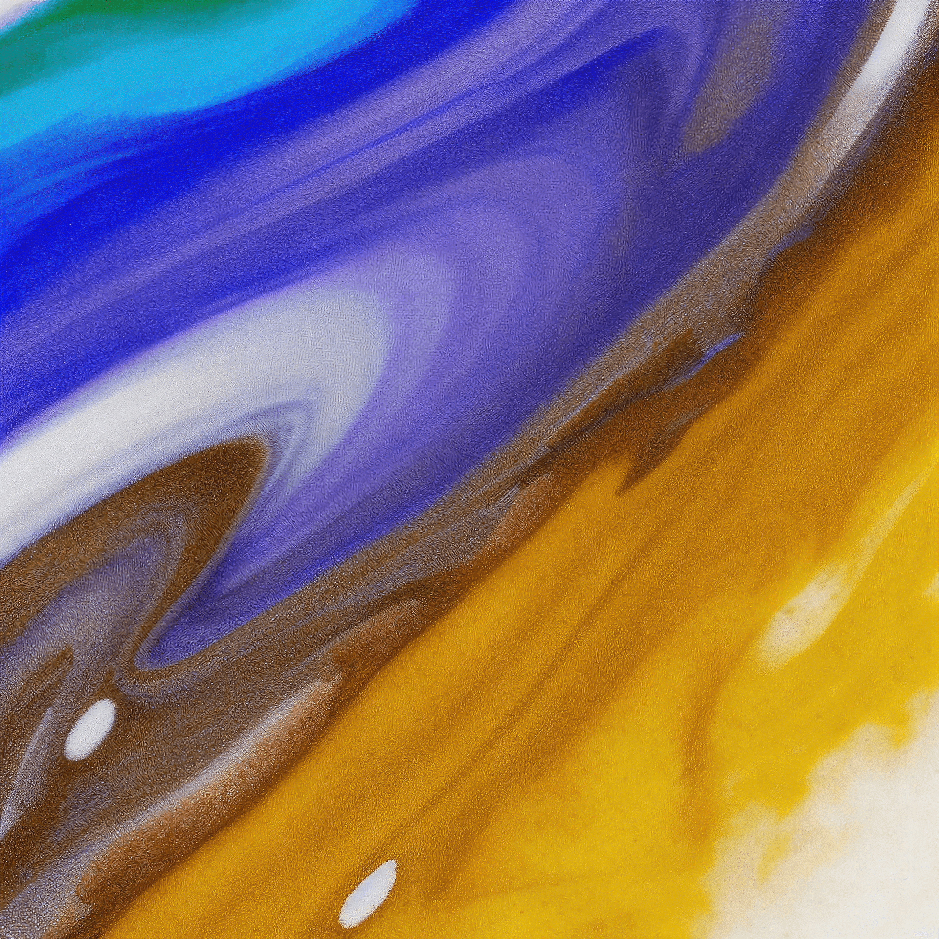 Full-Stack Solutions